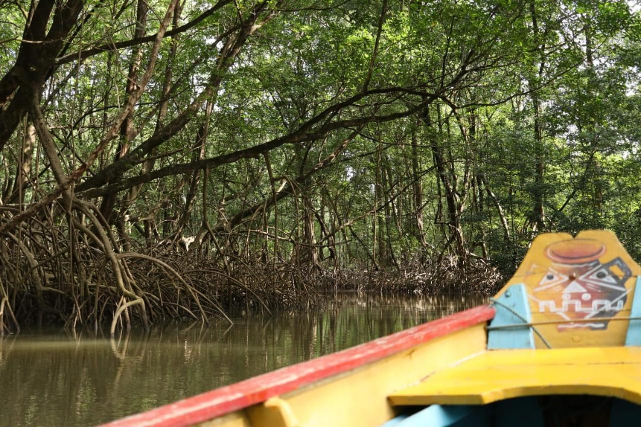 Hotel Marajo - Turismo De Experiencia Soure Ngoại thất bức ảnh